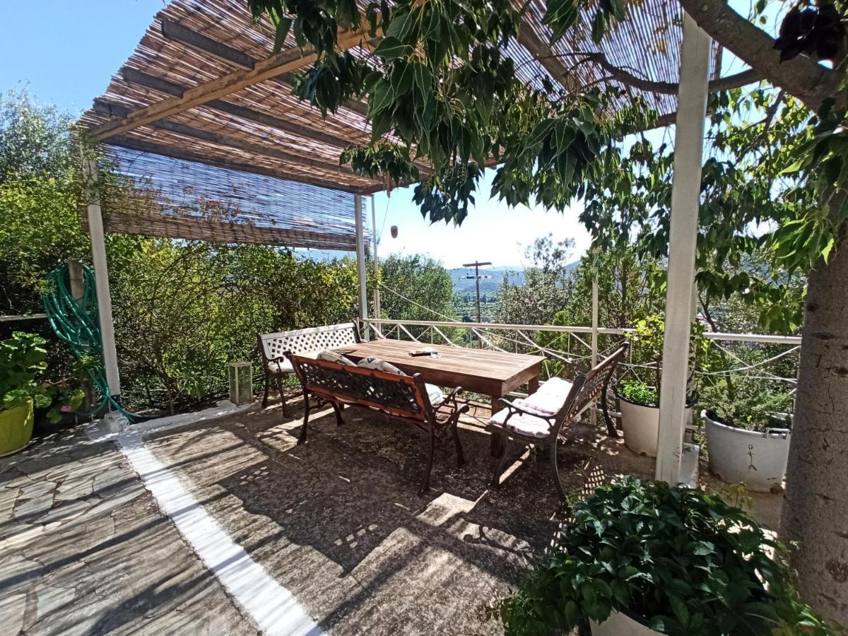 Heras Garden Vasiliki  Luaran gambar