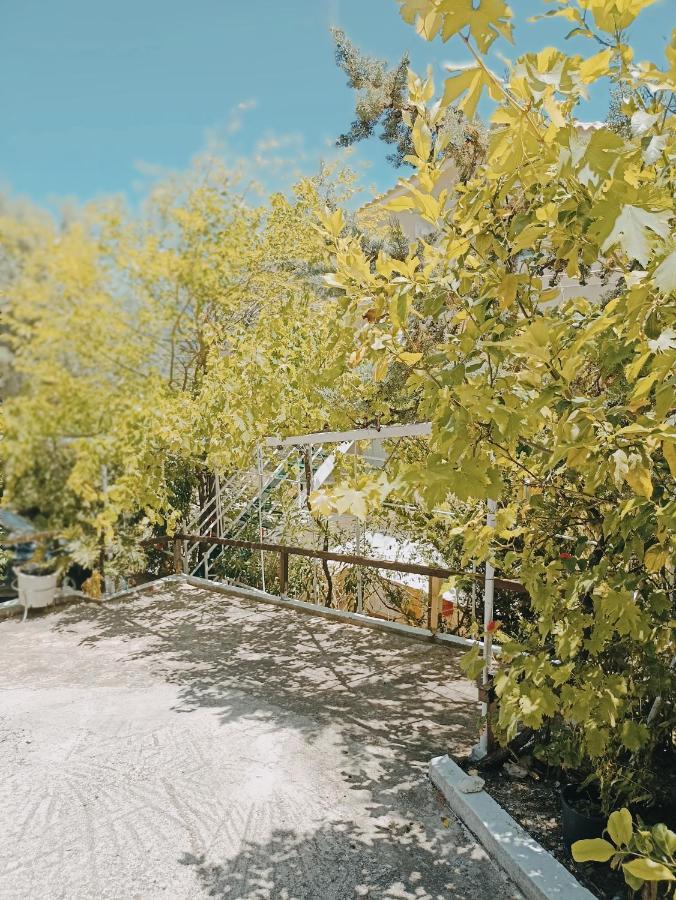 Heras Garden Vasiliki  Luaran gambar